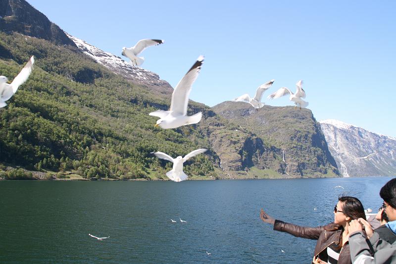 Fjords (68).jpg